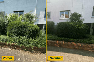 Gartenpflege Dienstleistung Schröder & Junior